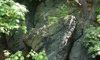 IMG-20250509-WA0023