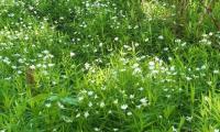 IMG-20250509-WA0024