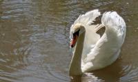 IMG-20250509-WA0046