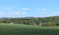 IMG-20250509-WA0051