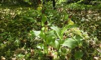 IMG-20260524-WA0053