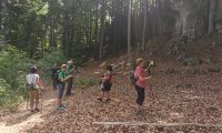 IMG_20260524_105539-scaled