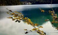 IMG-20250908-WA0012
