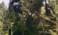 IMG-20250808-WA0005