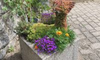 IMG_20250808_134526-scaled