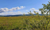IMG-20260517-WA0001