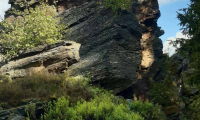IMG-20260517-WA0004