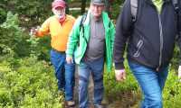 IMG-20260517-WA0005
