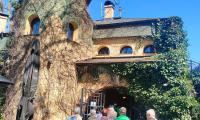 IMG-20240414-WA0018