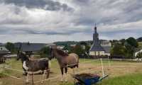 IMG-20210822-WA0003
