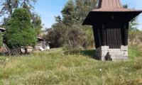 IMG-20240809-WA0005