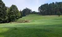 IMG-20240809-WA0011