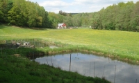 DSC03930
