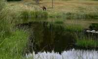 IMG-20240615-WA0012