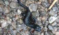 IMG-20230918-WA0014