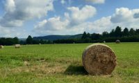 IMG-20250727-WA0010-rotated