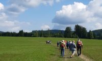 IMG-20250727-WA0011
