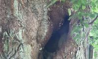 IMG-20250727-WA0020