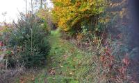 IMG-20241028-WA0001