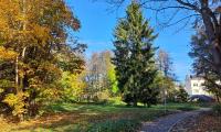 IMG-20241028-WA0009