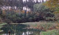 IMG-20241028-WA0012
