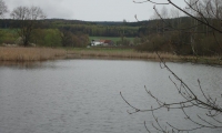 DSC03676