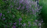 IMG-20240520-WA0012
