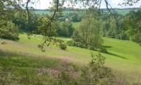 IMG-20240520-WA0015