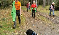 IMG_20241019_141719-scaled