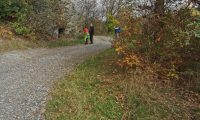 IMG_20241019_151834-scaled