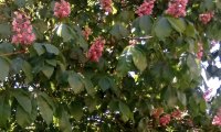 IMG-20250517-WA0023