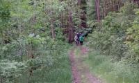 IMG-20250517-WA0030