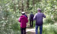 IMG-20250517-WA0032