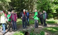 IMG-20250517-WA0035