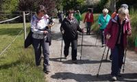 IMG-20250517-WA0038