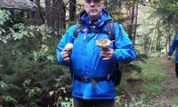 IMG-20241011-WA0013