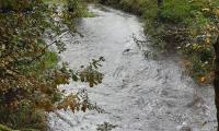 IMG-20241011-WA0014