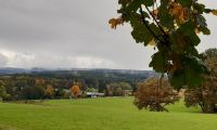 IMG-20241011-WA0017