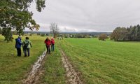 IMG_20241011_103012-scaled