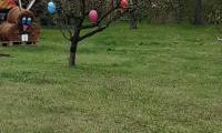 IMG-20250421-WA0002